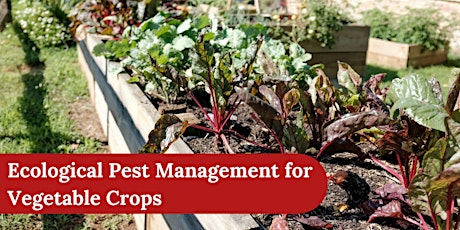 Ecological Pest Management for Vegetable Crops