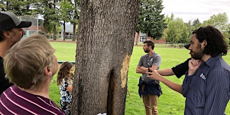 What's Bugging Our Trees? Coping With Emerald Ash Borer in the PNW