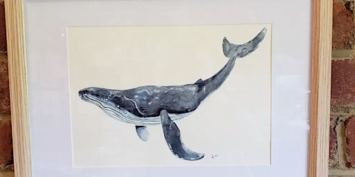 Watercolour Humpback Whale workshop