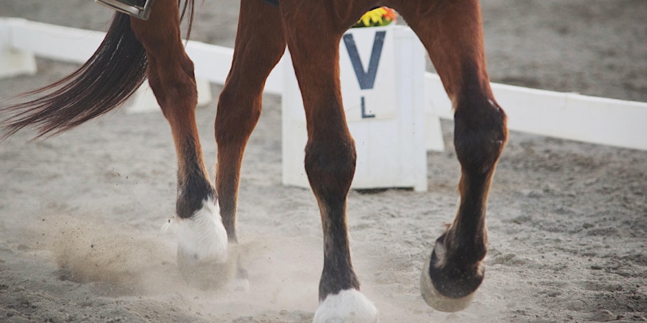 Webinar: Mechanical Horse Simulator for Competitive Horse Riding - AGD SG