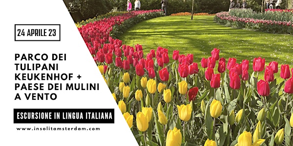 Visita parco dei tulipani e mulini a vento in ITALIANO - 24 aprile 2023