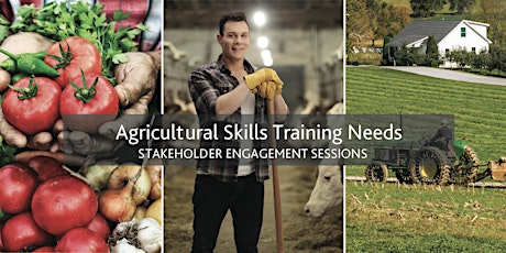 Agricultural Skills Training Needs - Stakeholder Engagement Sessions primary image