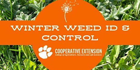 Winter Weed Identification and Control Webinar