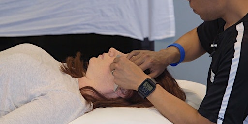 Modern Manual Therapy: The Eclectic Approach to TMJ Management primary image