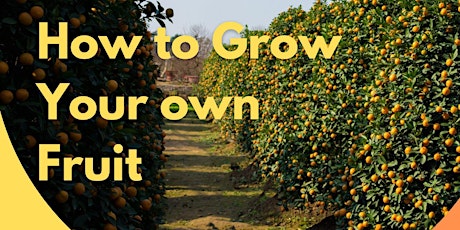 How to Grow Your Own Fruit