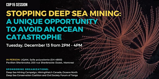 Stopping Deep Sea Mining: A unique opportunity to avoid ocean catastrophe