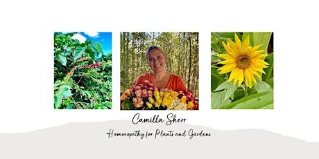 FREE first session - Homoeopathy for Plants and Gardens primary image