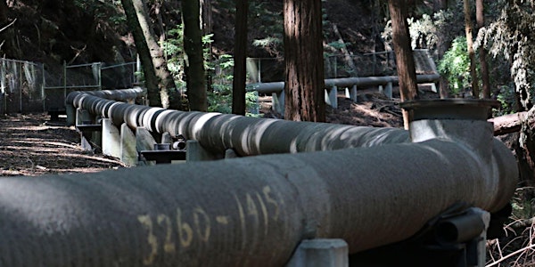 Follow the Flush: Santa Cruz Wastewater 5K Walk