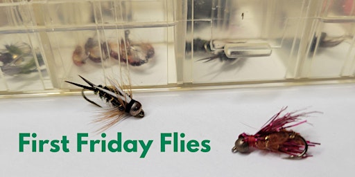 First Friday Flies