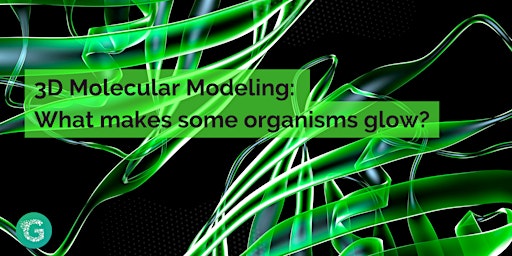 3D Molecular Modeling: What makes some organisms glow?