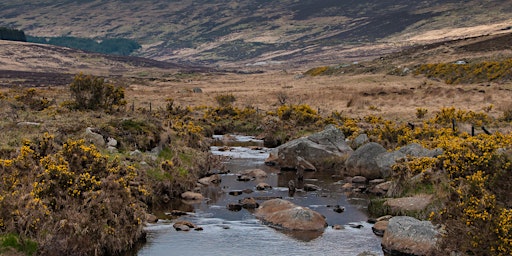 Winter Escape to Wicklow Mountains National Park