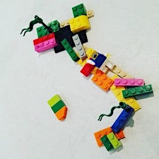 Immagine del profilo dell'organizzatore