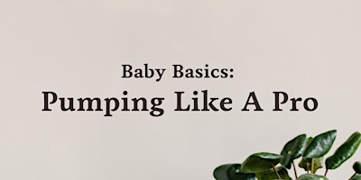 Primaire afbeelding van Baby Basics: Pumping Like a Pro