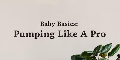 Baby Basics: Pumping Like a Pro primary image