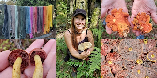 Mushroom Dyes of the Northern California Fungal Fibershed with Alissa Allen primary image