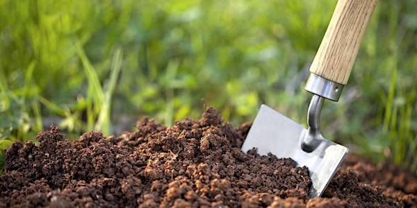Making Your Soil Work for You!