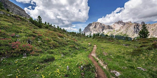 Immagine principale di Dolomiti di Brenta e Val di Sole una settimana di trekking 