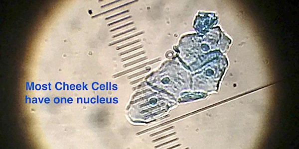 Workshop: Open-sourcing DNA damage detection for Citizen science