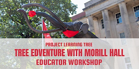 Tree Edventure at Morrill Hall: K-5 Educator Workshop