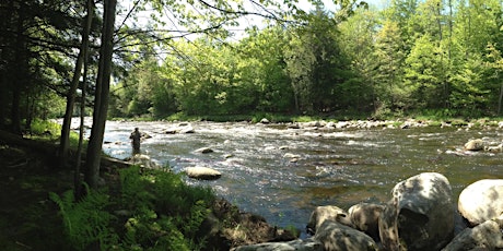 Fly Fishing School: Catskill Mountains Trout Unlimited primary image