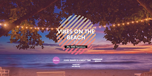 Vibes On The Beach - The Wild Experience