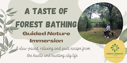 A Taste of Forest Bathing,  Sai Kung
