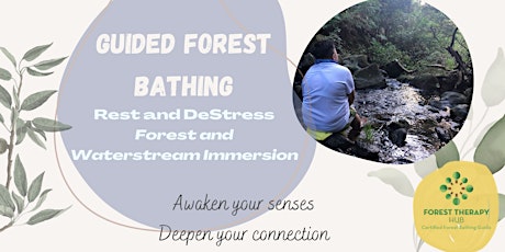 Rest and DeStress | Guided Forest Bathing Nature Immersion, Tai Po