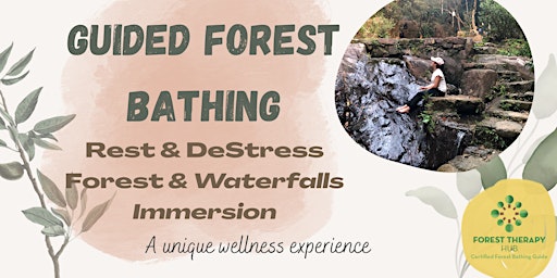 Guided Forest Bathing Nature Immersion, Lung Fu Shan primary image