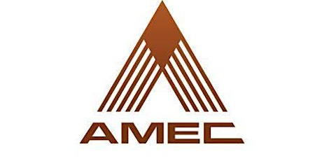 AMEC Forum - Working through the maze primary image