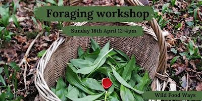 Spring foraging workshop