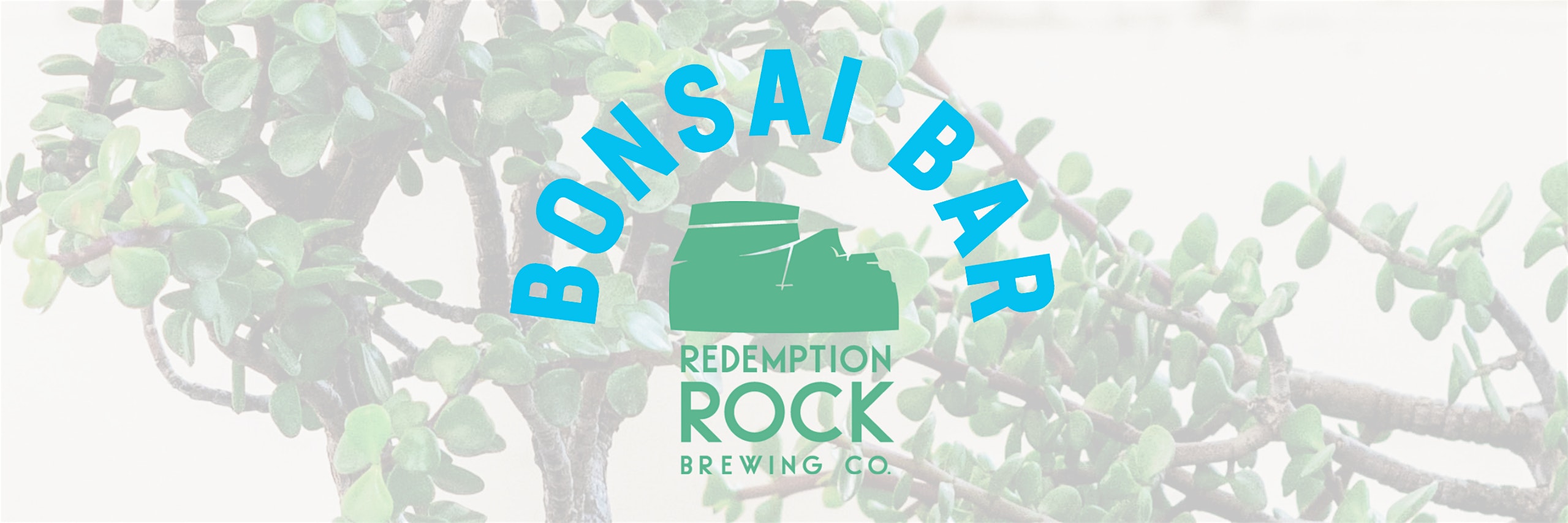 Bonsai Bar @ Redemption Rock Brewing Co.