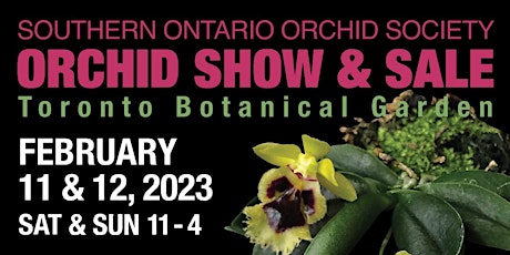 Saturday 11 Feb 2023  SOOS Valentine's Orchid Show & Sale