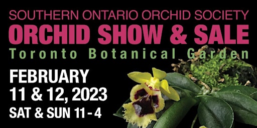 Saturday 11 Feb 2023  SOOS Valentine's Orchid Show & Sale