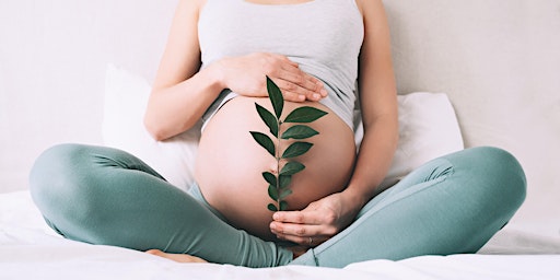 Immagine principale di Full Bloom: An Empowering Birth Preparation Class 2024 