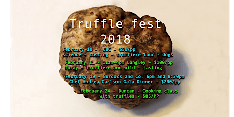 Truffle cooking class and tasting primary image