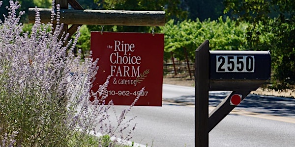 THE RIPE CHOICE FARM WINEMAKER'S DINNER FEATURING SMILING DOGS RANCH