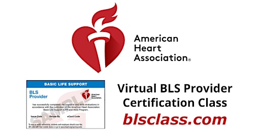 American Heart Association - Basic Life Support (BLS) Class - Texas