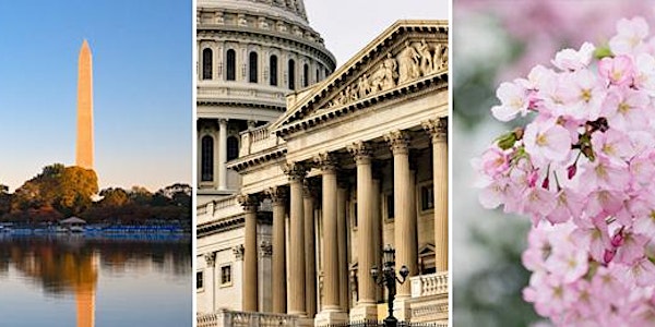 UCLA Luskin Alumni Regional Reception - Washington, DC