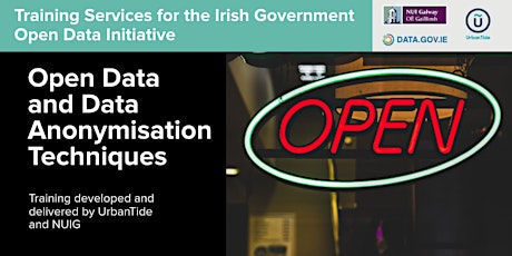 ONLINE Ireland OD Initiative - Data Anonymisation Techniques (21 May 2024)