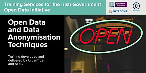 ONLINE Ireland OD Initiative - Data Anonymisation Techniques (21 May 2024) primary image
