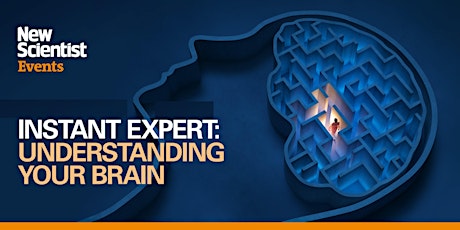 Instant Expert: Understanding your brain  primärbild