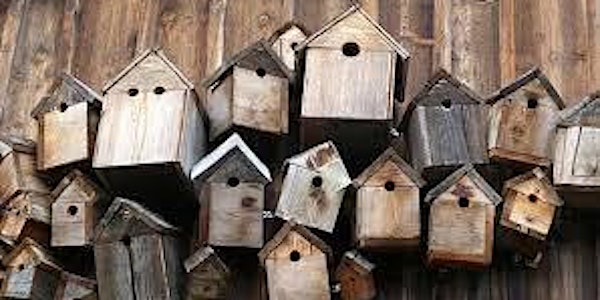 Rusland Horizons: Bird Box Building. After-school fun for kids and parents!