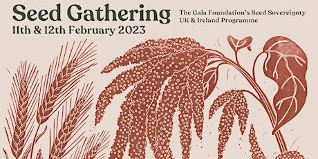 Seed Gathering 2023