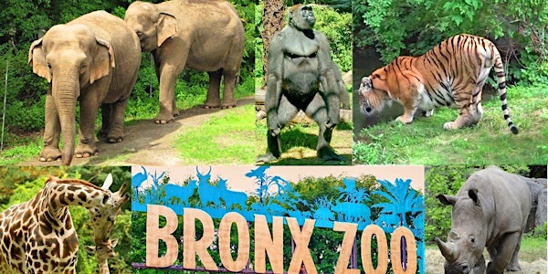 Mohansic goes to the Bronx Zoo