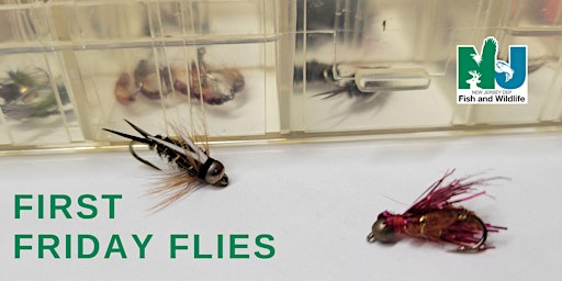 Imagem principal de First Friday Flies - Inch Worm