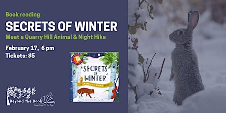 Beyond the Book - Secrets of Winter