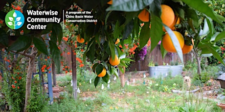 Winter Waterwise Garden Care and Fruit Tree Pruning - In Person Workshop
