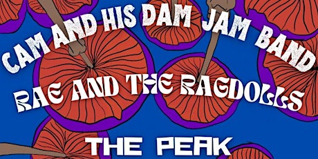 Cam and His Dam Jam Band - Rae and the Ragdolls - The Peak