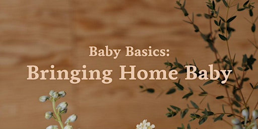 Imagem principal do evento Baby Basics: Bringing Home Baby