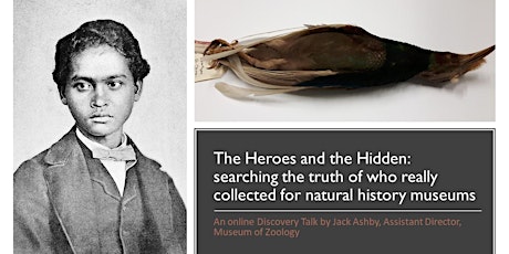 The Heroes and the Hidden: A Museum of Zoology Discovery Talk Online